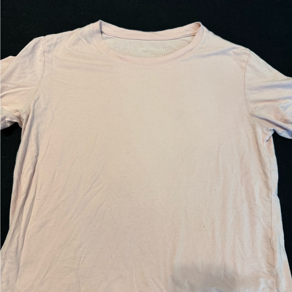 Everlane Soft Blush Tee